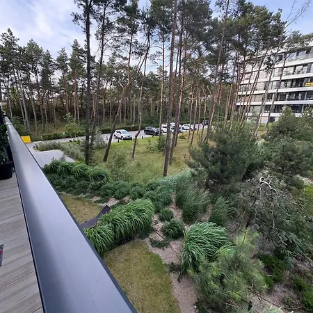 Shellter Bael 洛格沃