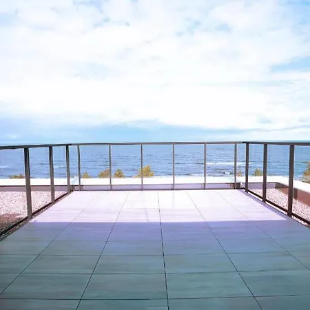 Shellter Bael Rogowo