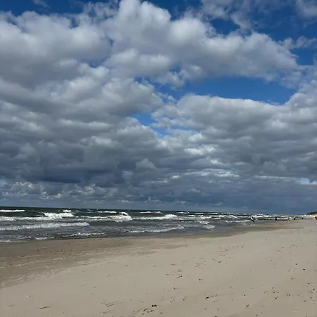 Shellter Bael Apartman *