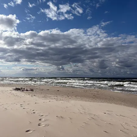 Shellter Bael 洛格沃