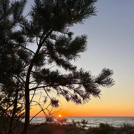 Shellter Bael 公寓