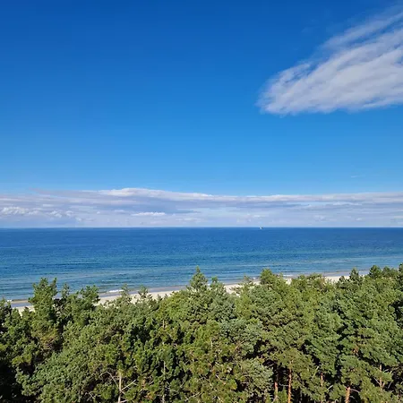 Shellter Bael * Rogowo