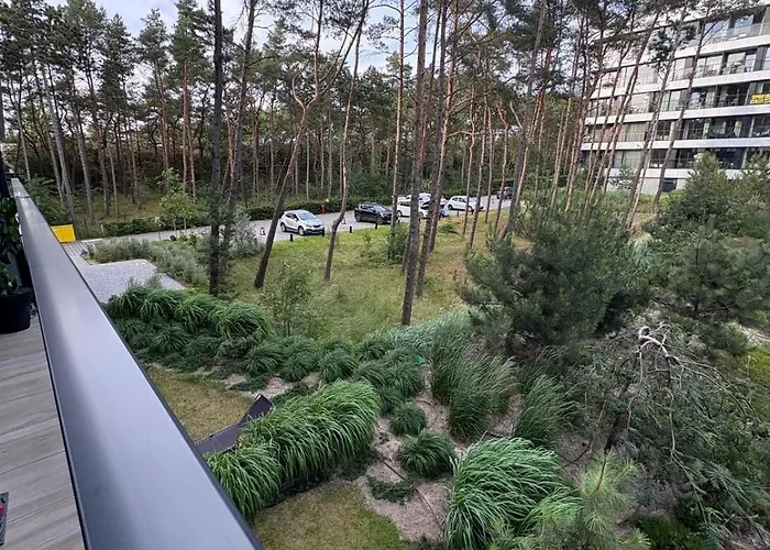 Shellter Bael Rogowo (Gryfice)