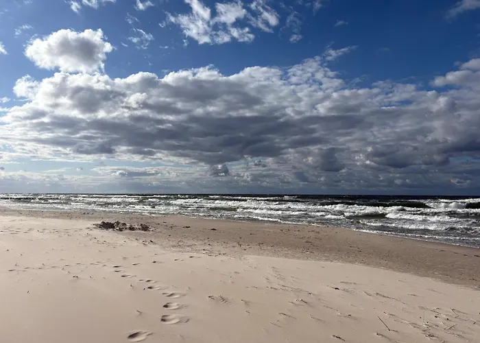 Shellter Bael Rogowo (Gryfice)