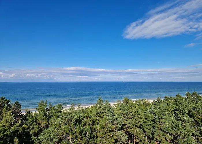 Shellter Bael * Rogowo (Gryfice)