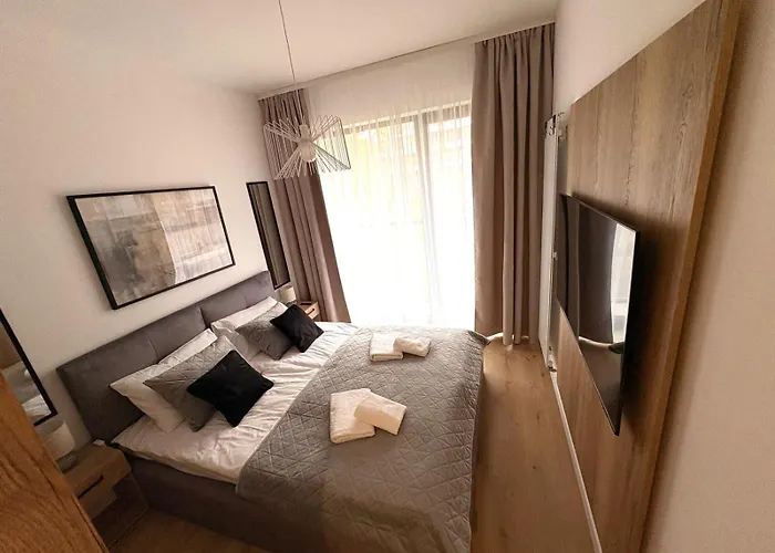 Shellter Bael * Rogowo (Gryfice)